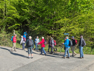 Vom Startpunkt geht es direkt in den Wald