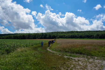 Wandern durch Feld und Flur