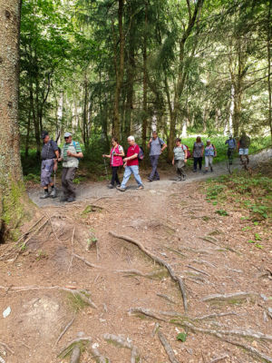 Wanderweg mit ursprünglichen Charakter