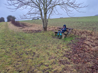 Wer zuerst oben ist, Darf Sitzen - Noah gönnt sich eine Pause, Während Die übrigen Noch Die Anhöhe Erklimmen