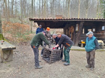 Renovierung Braunschweiger Hütte