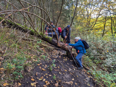 Über Stock und Stein