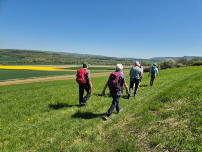 Über Wiesen geht es Richtung Wallensen