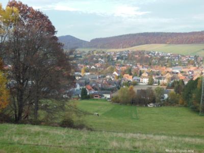 05.11.2015: Baumpflanzung