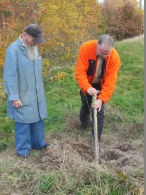 05.11.2015: Baumpflanzung