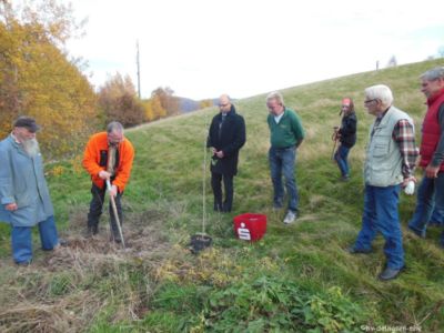 05.11.2015: Baumpflanzung