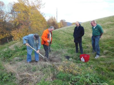 05.11.2015: Baumpflanzung