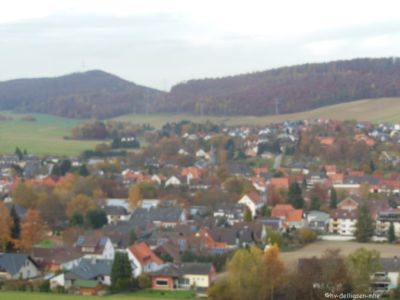 05.11.2015: Baumpflanzung