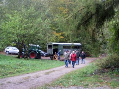 09.10.2011: Helferessen