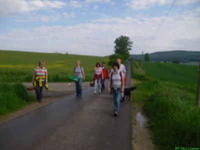 05.2012: Tannenspitzensammeln