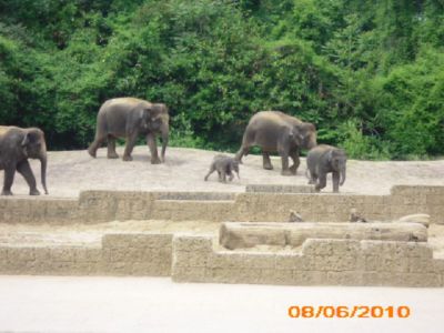 08.06.2010: Ü50-Gruppe macht Fahrt ins Blaue...