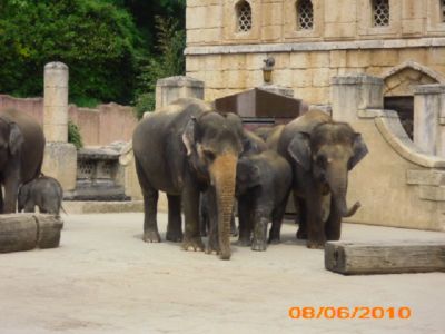 08.06.2010: Ü50-Gruppe macht Fahrt ins Blaue...